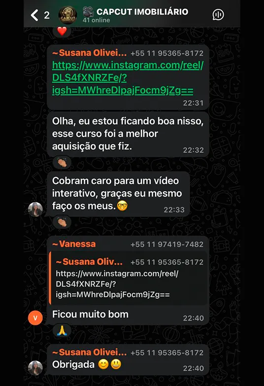 CapCut 01